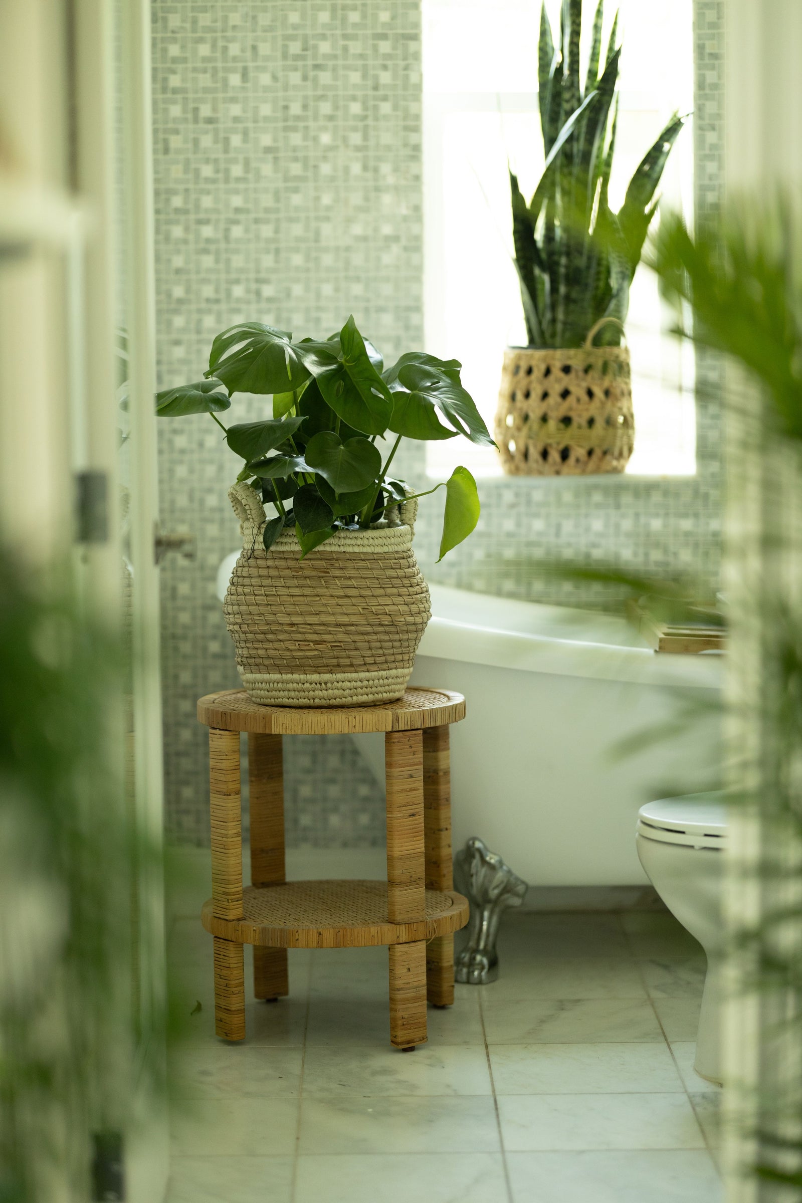 Integrating Biophilic Design in Your Home with Tropical Plants